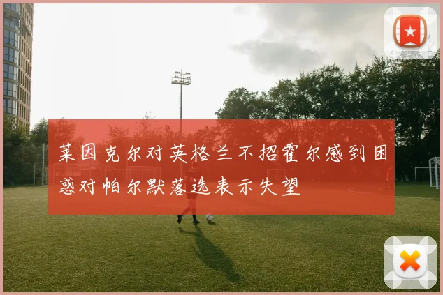 莱因克尔对英格兰不招霍尔感到困惑对帕尔默落选表示失望