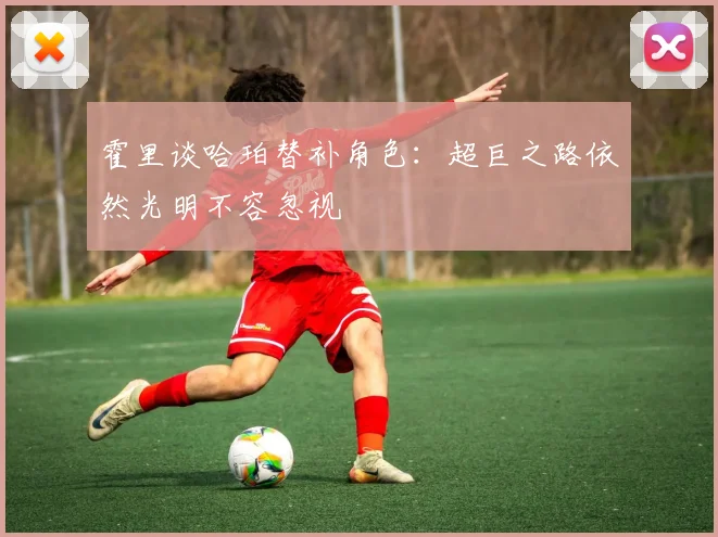 霍里谈哈珀替补角色：超巨之路依然光明不容忽视