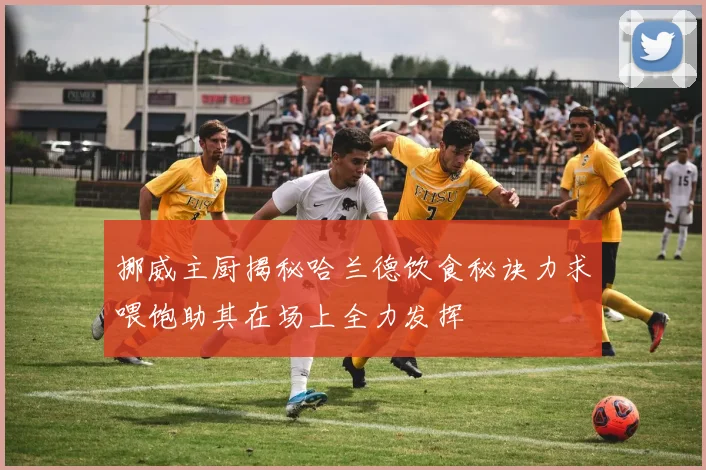 挪威主厨揭秘哈兰德饮食秘诀力求喂饱助其在场上全力发挥