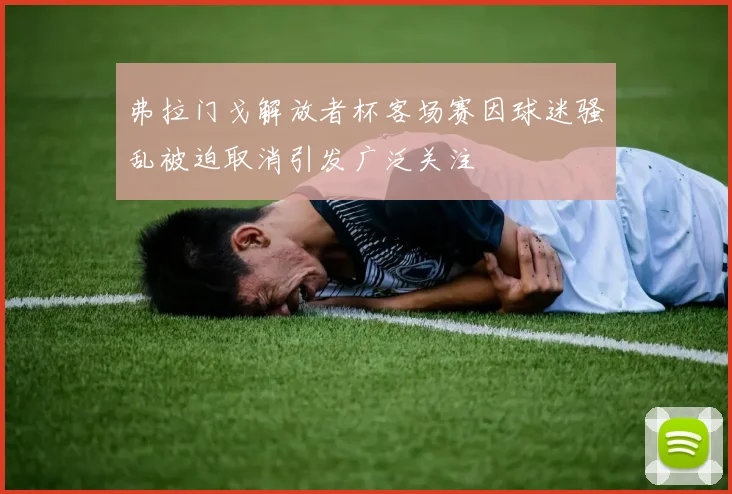 弗拉门戈解放者杯客场赛因球迷骚乱被迫取消引发广泛关注